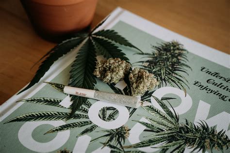 cannabis social club kassel|3CS